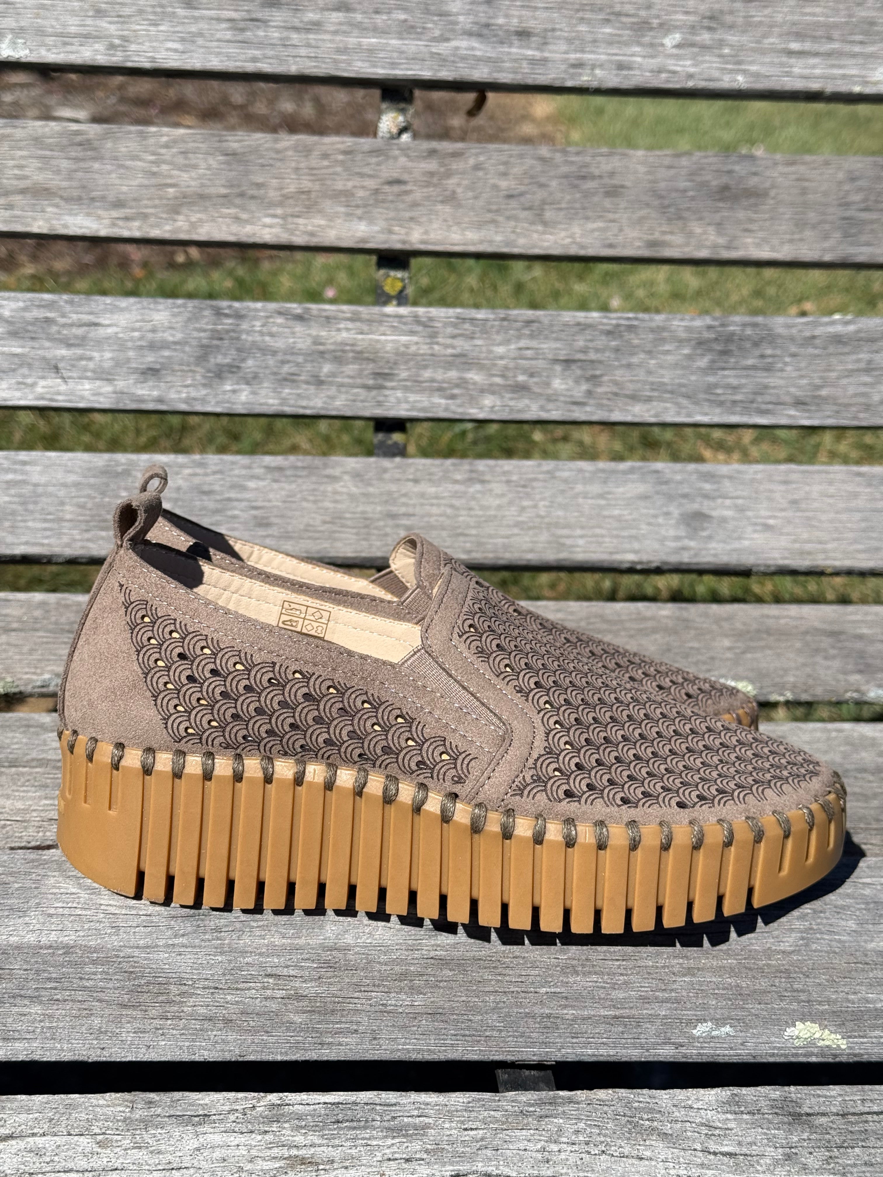 Tulip 4078 Wedge - Wheat