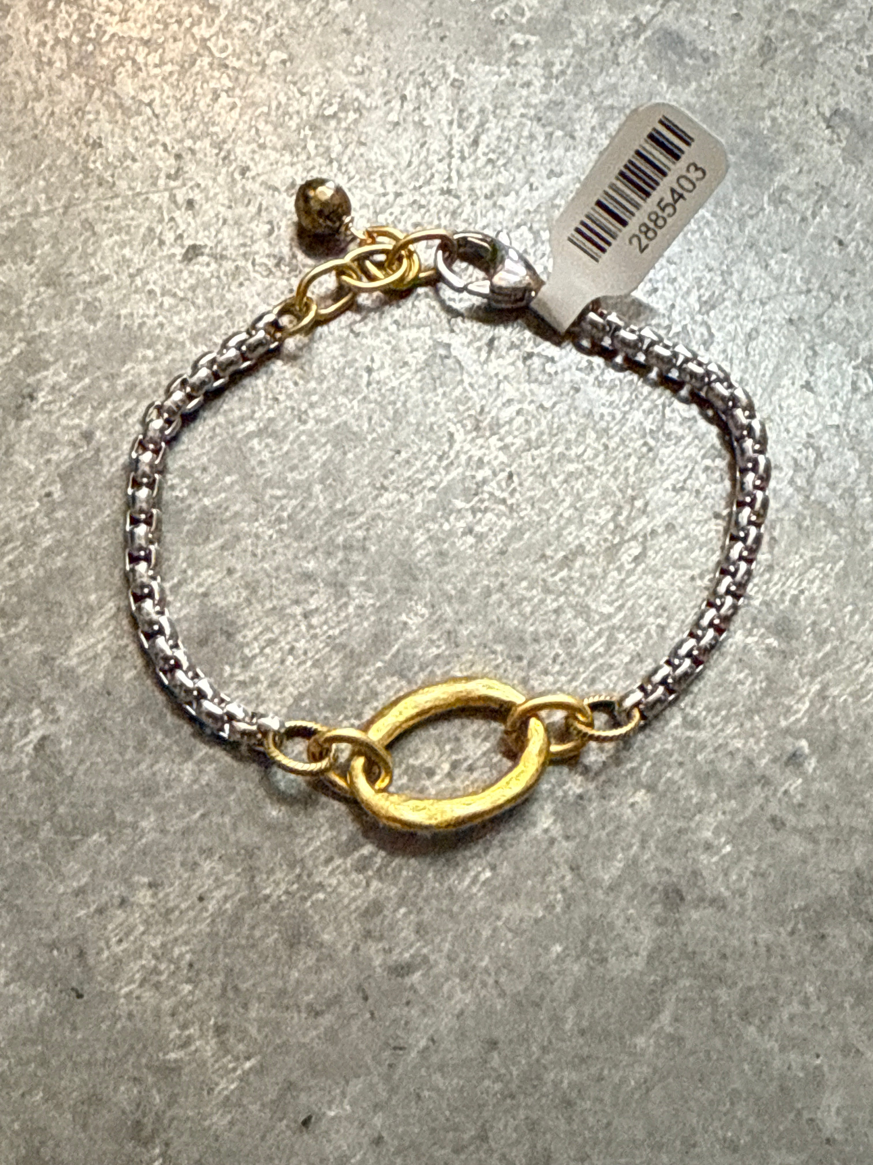Silver Snake and Gold Oval and Paperclip Chain Bracelet