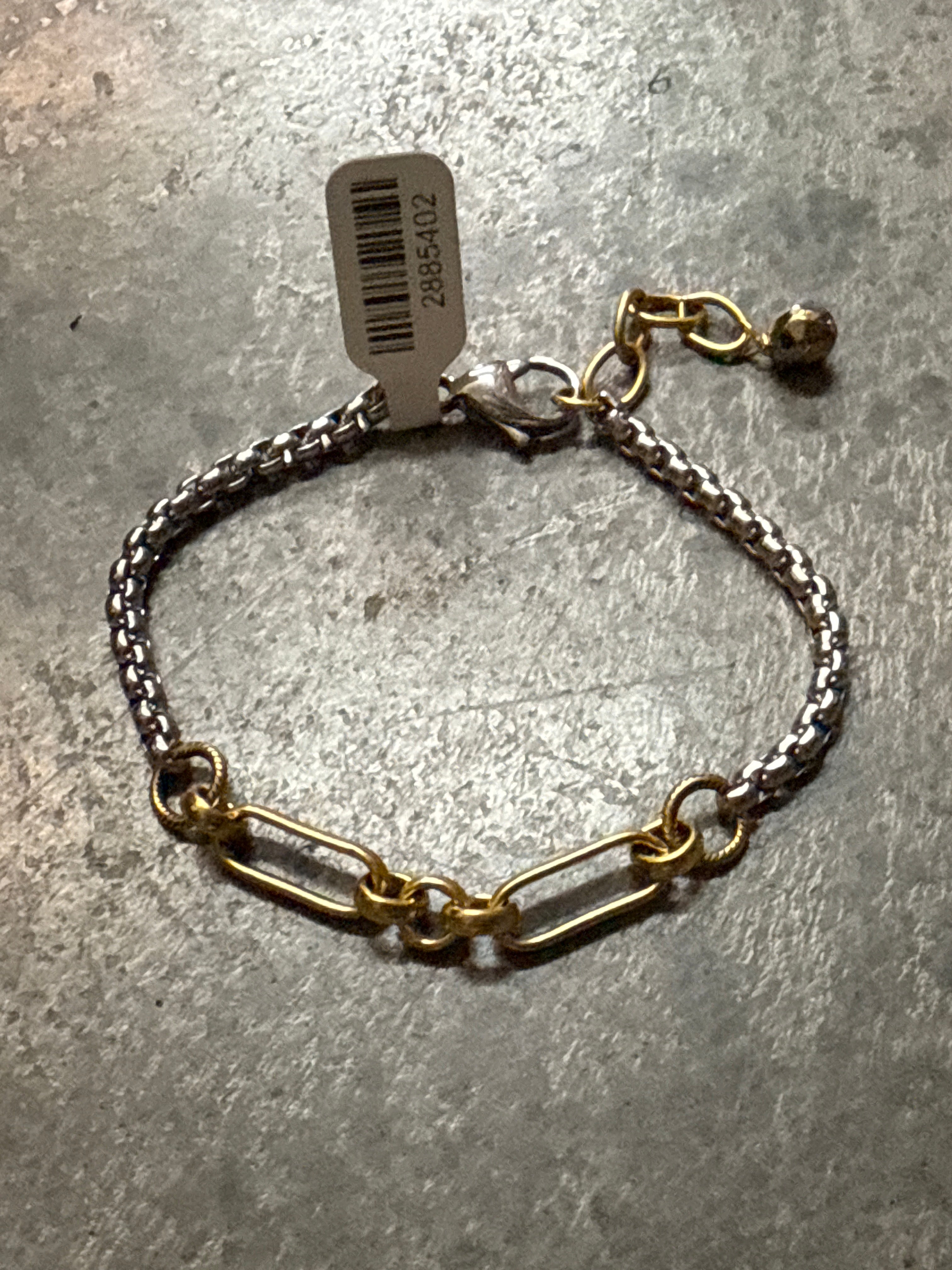 Silver Snake and Gold Paperclip Chain Bracelet