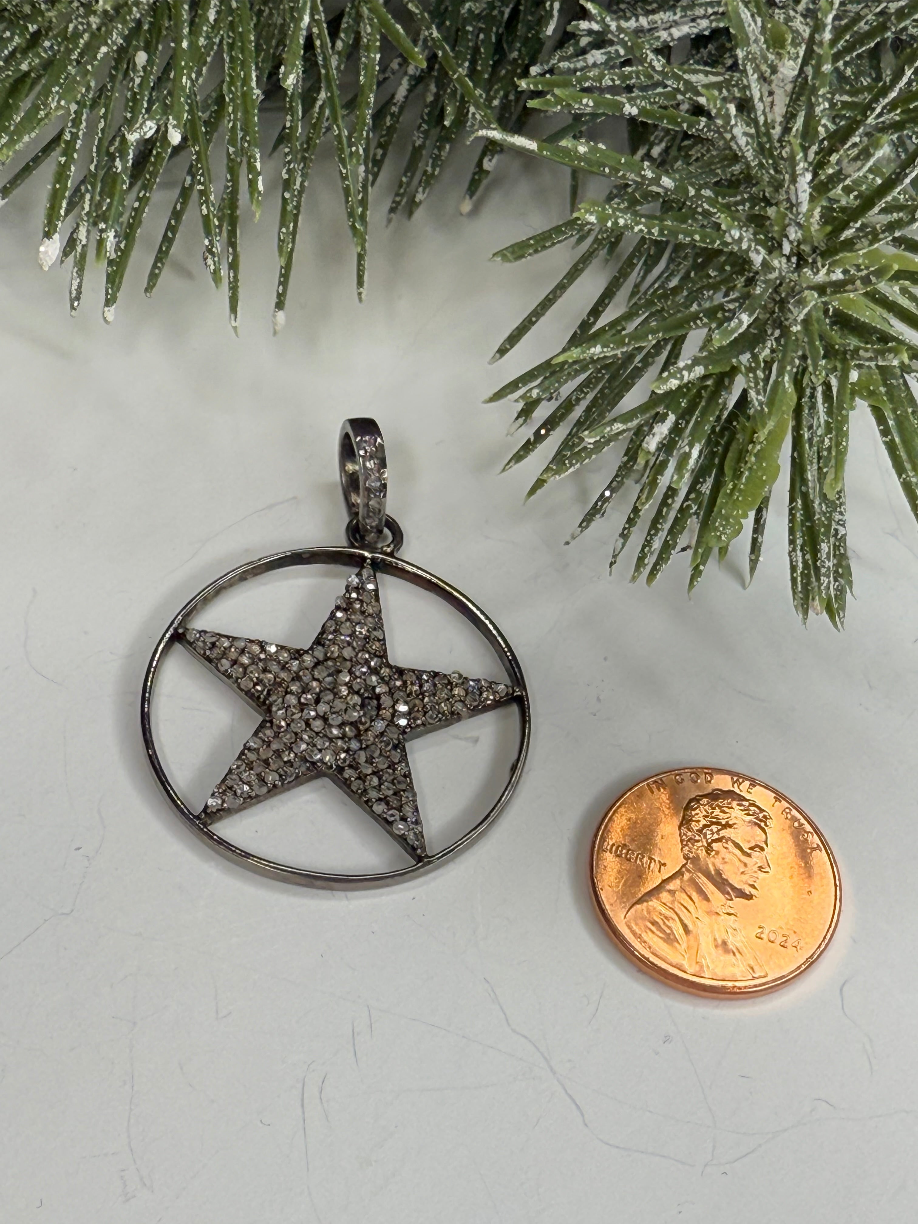 Lone star pendant next to a penny on a white surface with greenery