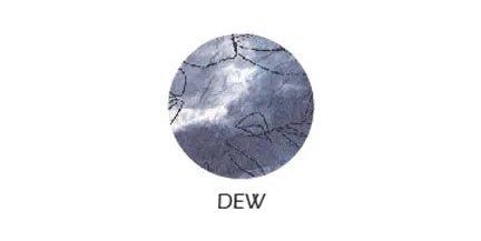 Olwen Pant Dew