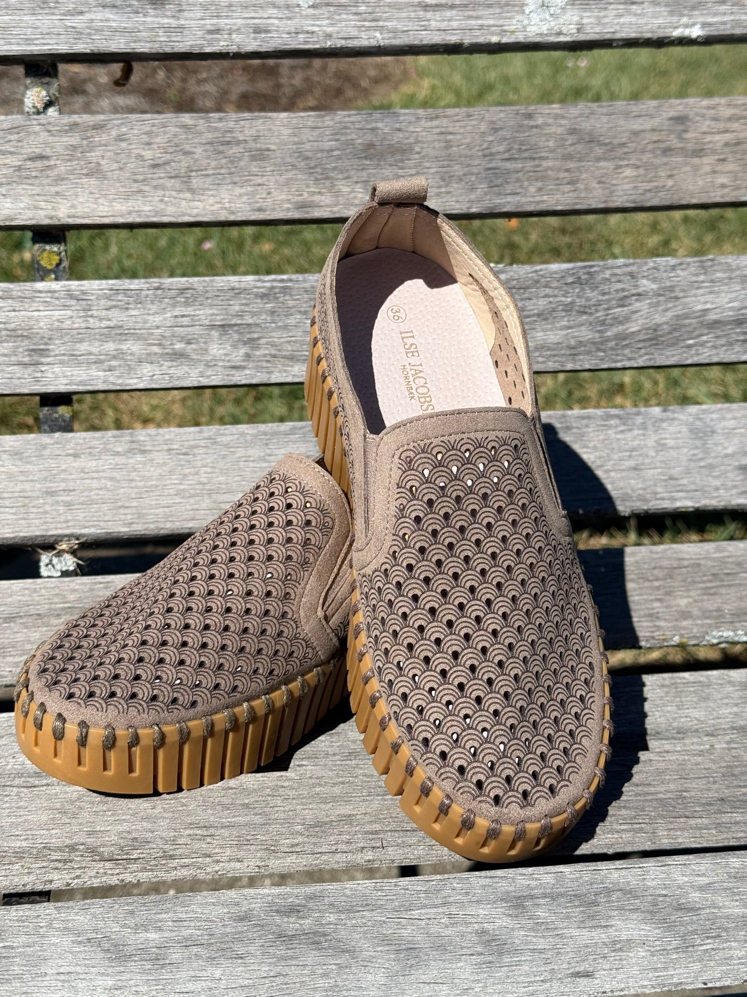 Tulip 4078 Wedge - Wheat