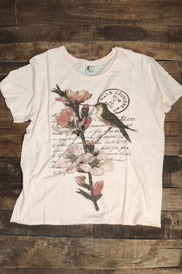 Moon Dance Afternoon Break