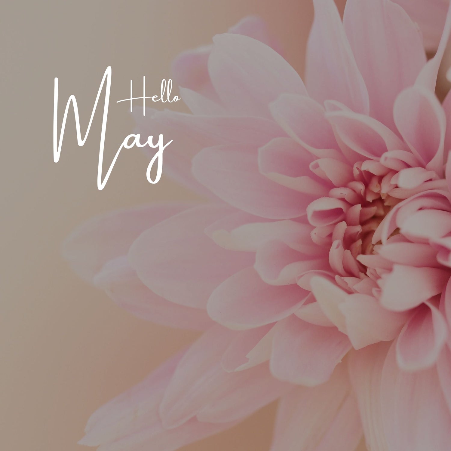 May LIVE