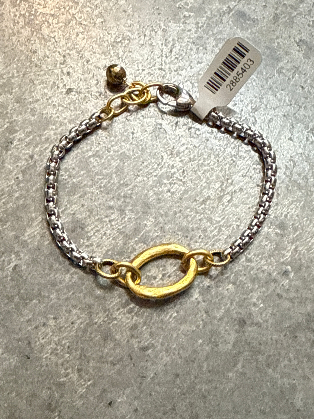 Silver Snake and Gold Oval and Paperclip Chain Bracelet