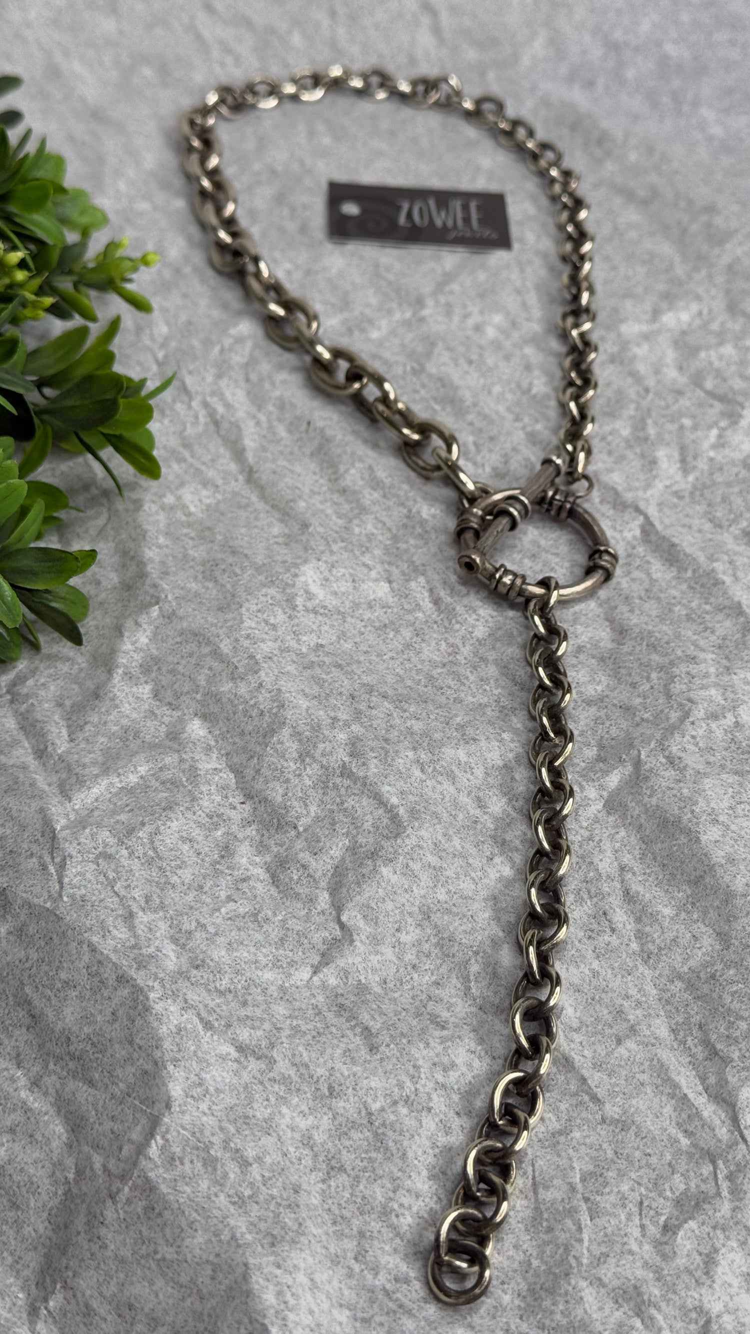 Metal chain leash on a textured stone surface with a plant in the corner
