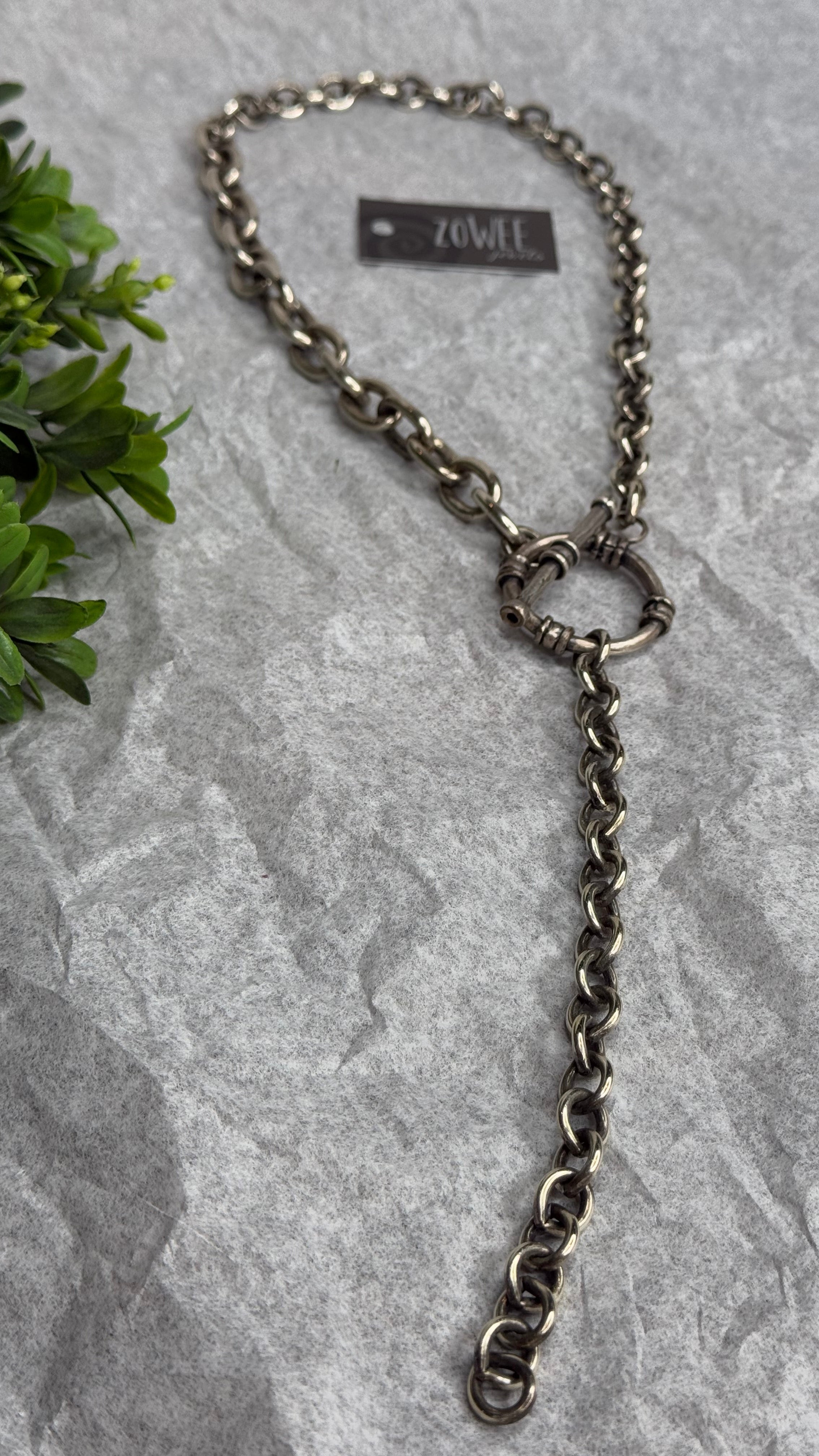 Metal chain leash on a textured stone surface with a plant in the corner