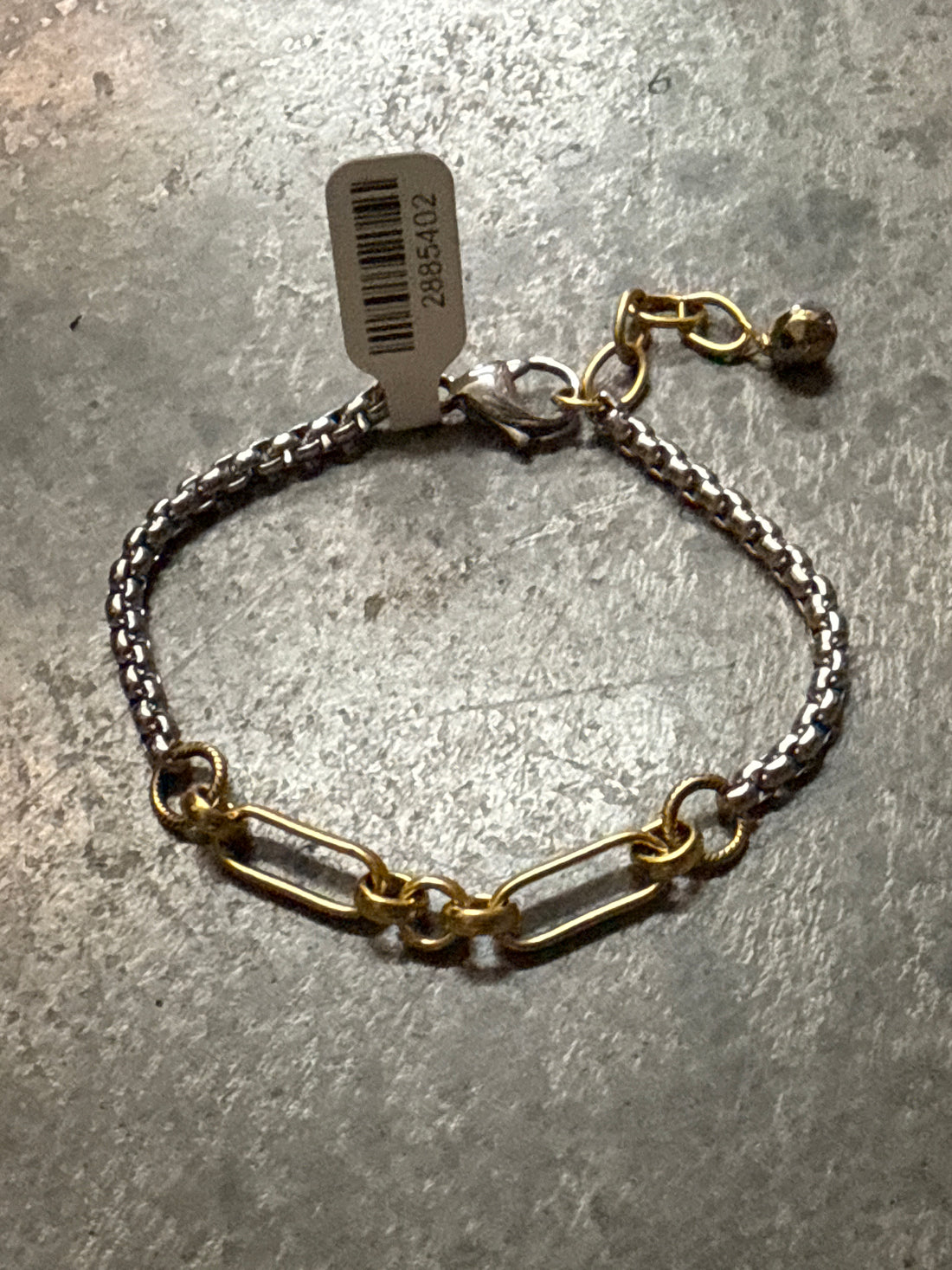 Silver Snake and Gold Paperclip Chain Bracelet