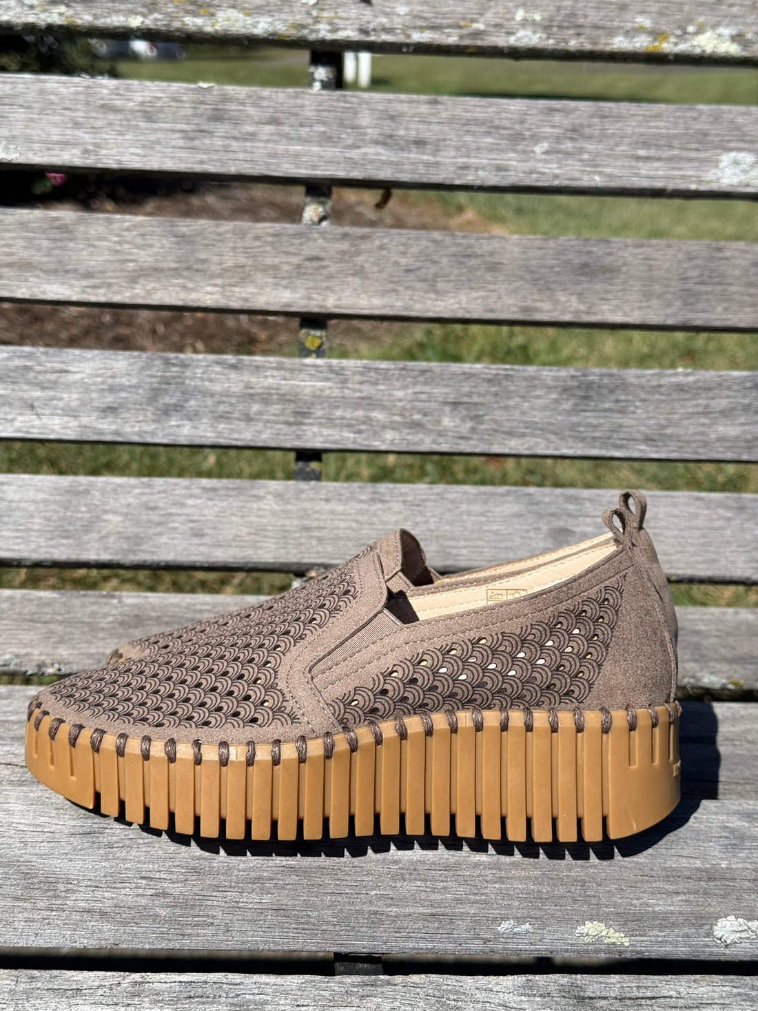 Tulip 4078 Wedge - Wheat