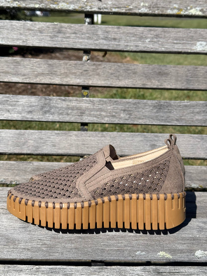 Tulip 4078 Wedge - Wheat