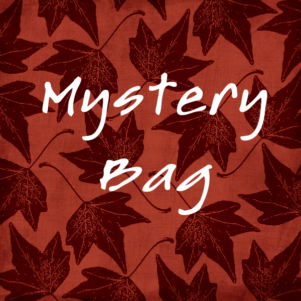 Size SMALL Mystery Bag "Tops" 2396