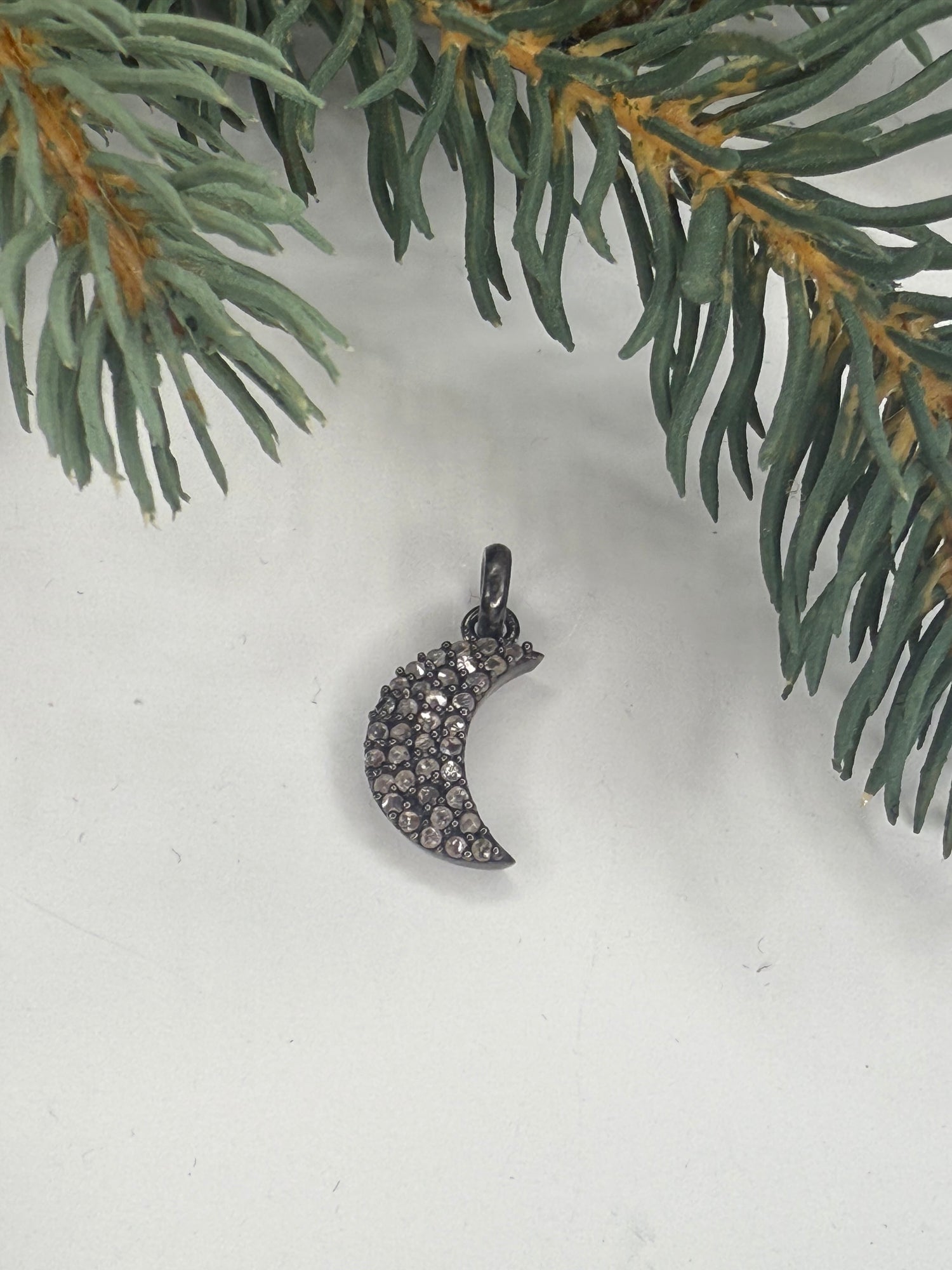 Silver crescent moon charm with diamonds on a white background with a green branch.