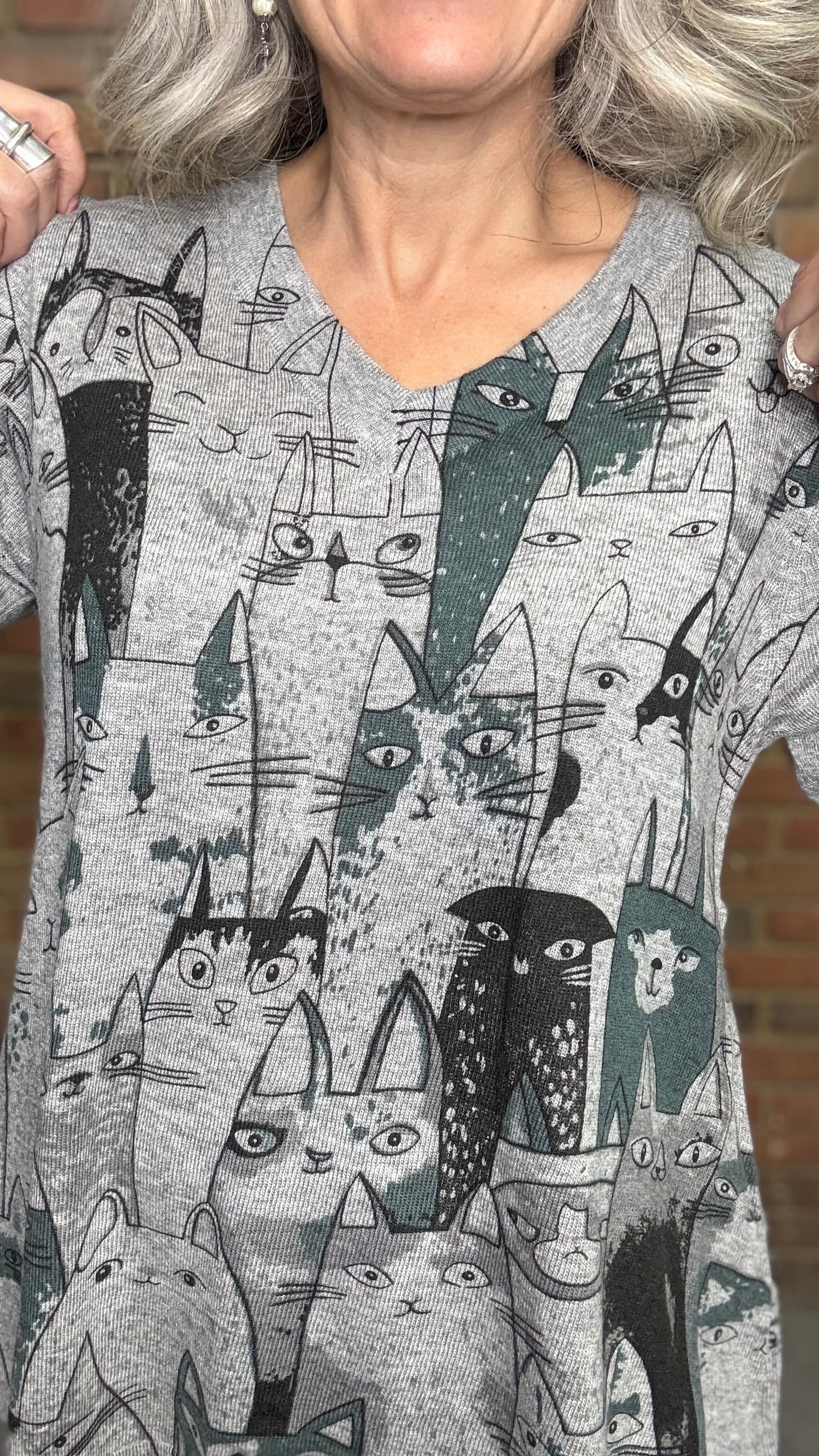 Cat Printed V-Neck Sweater