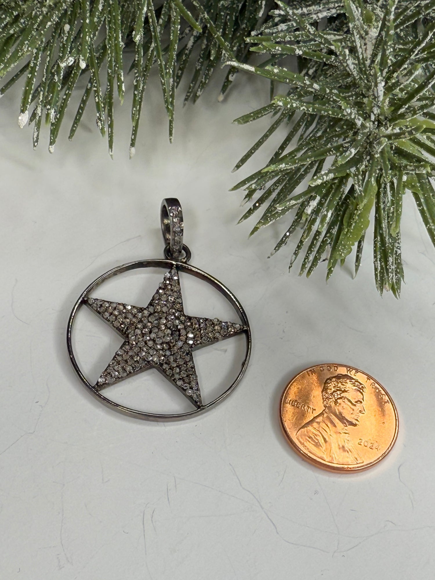 Lone star pendant next to a penny on a white surface with greenery