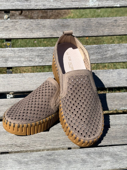 Tulip 4078 Wedge - Wheat
