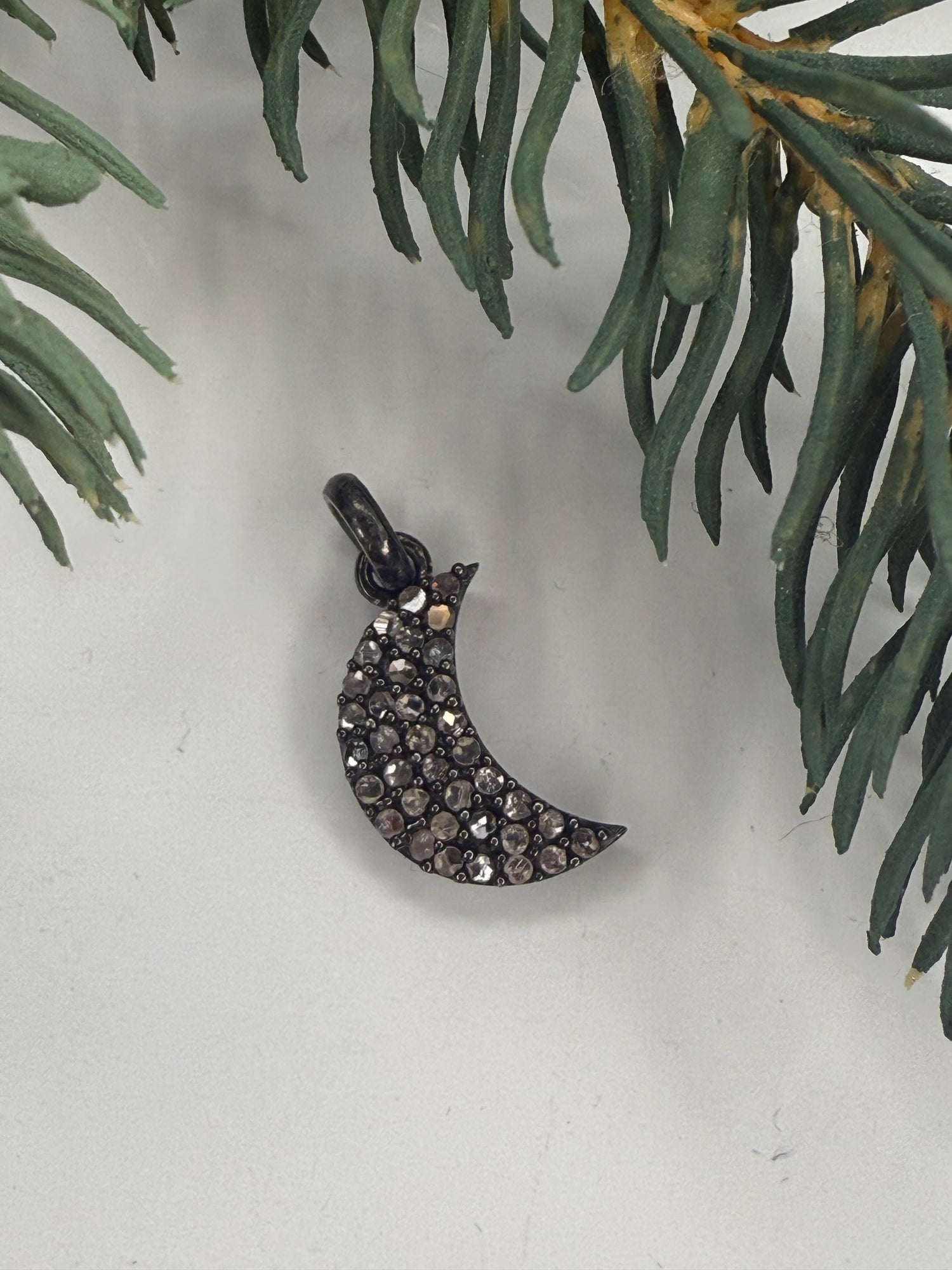 Crescent moon-shaped jewelry with gemstones on a light background with greenery