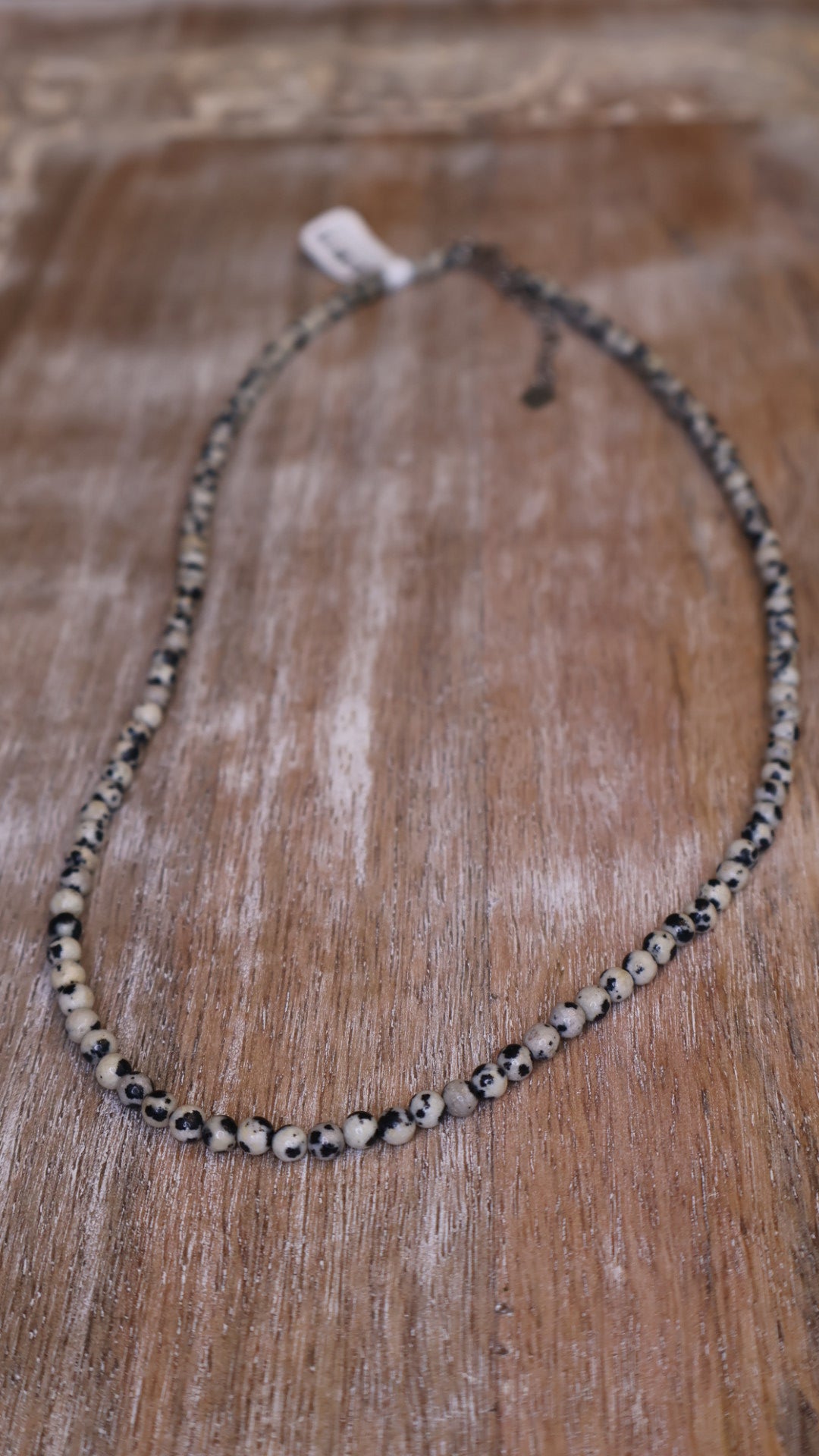 Dalmatian Jasper Necklace