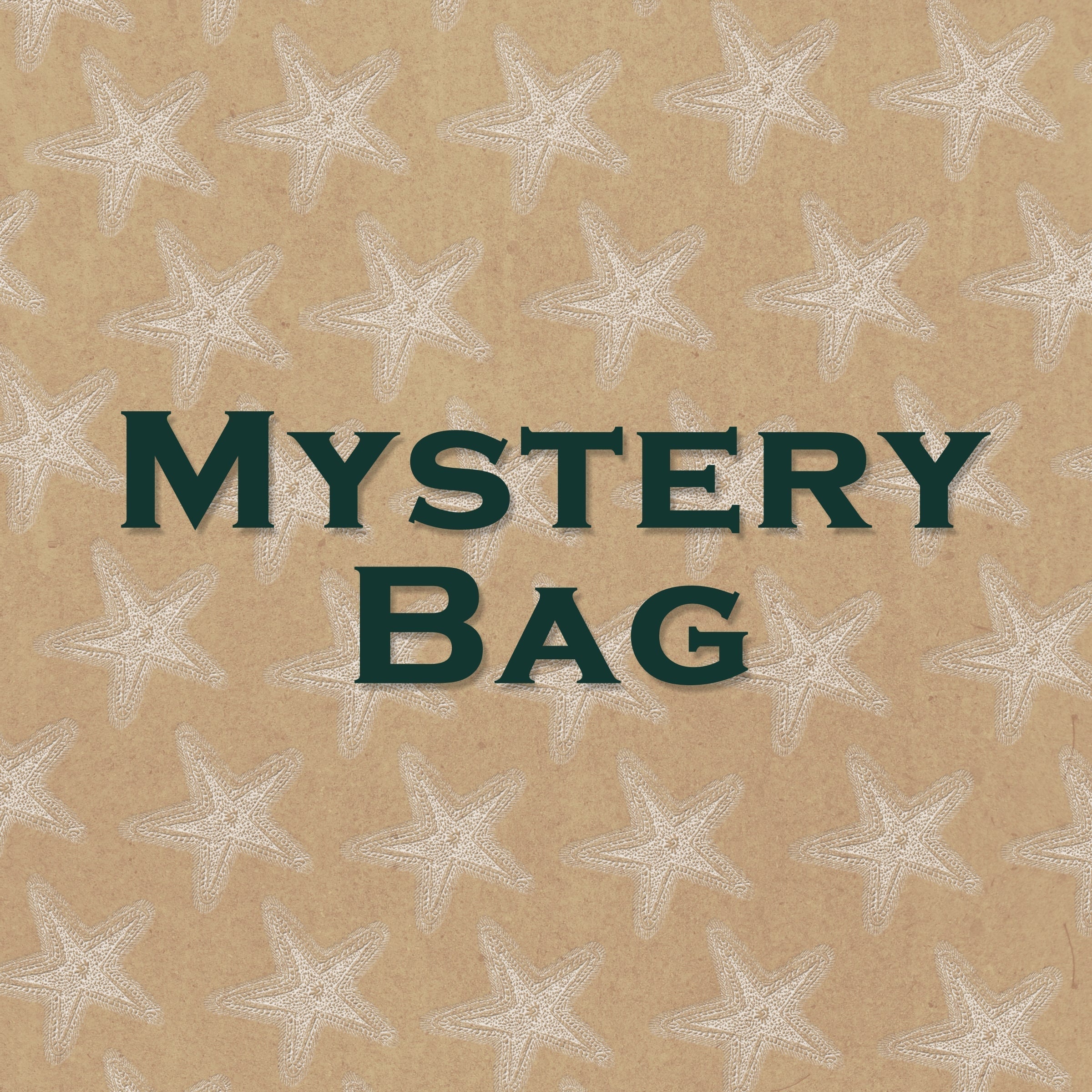 Size MEDIUM Mystery Bag - "Four for One"  2376