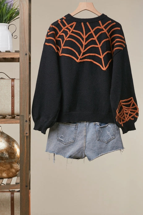 Spider Web and Spider Sweater