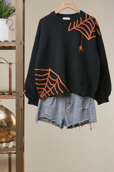 Spider Web and Spider Sweater